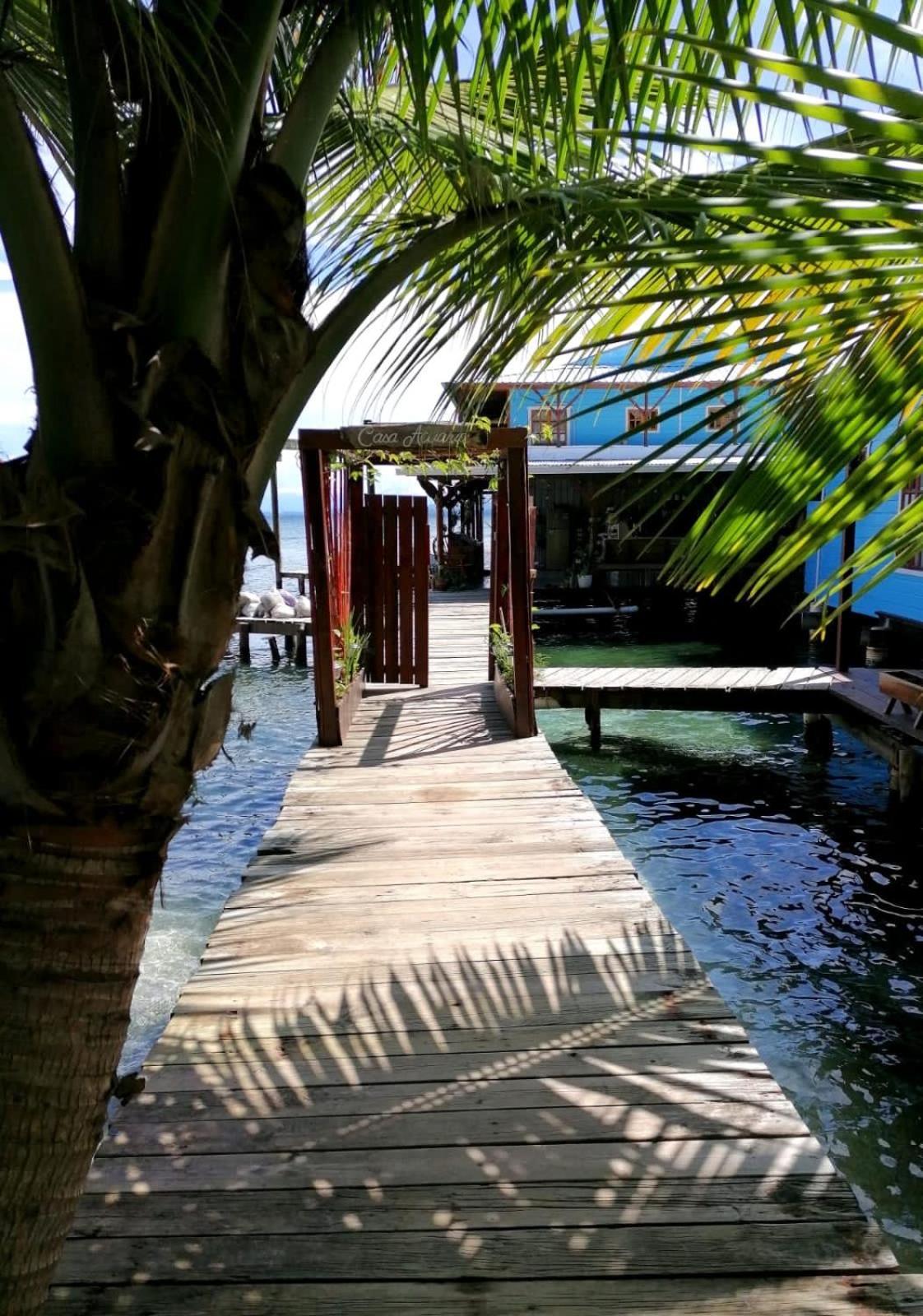 Casa Acuario Boutique Hotel Bocas del Toro Extérieur photo