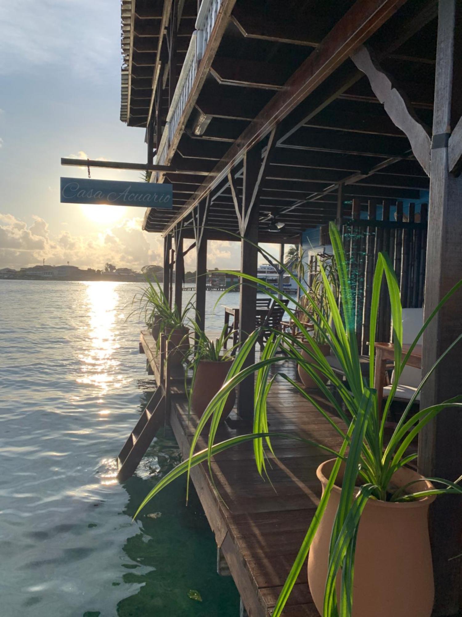 Casa Acuario Boutique Hotel Bocas del Toro Extérieur photo